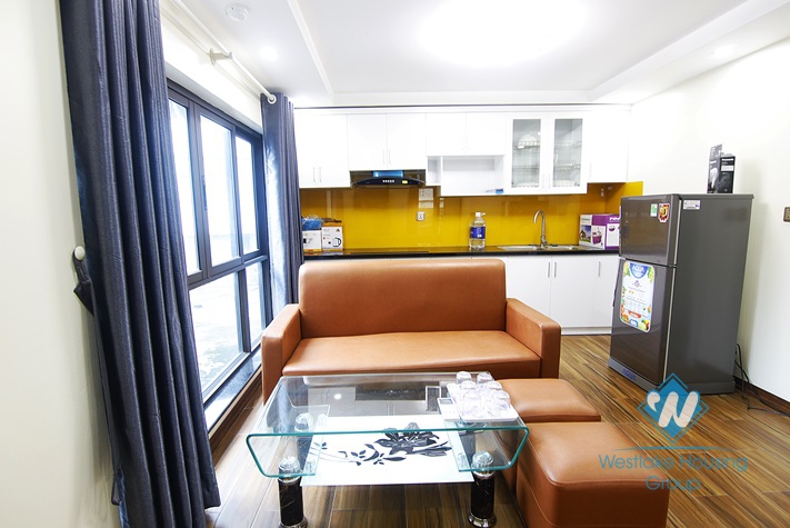 Brand New One Bedroom Apartment For Rent in Ba Dinh Area